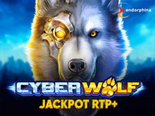 Cyber Wolf. 